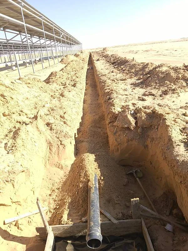 أعمال التغذية والصرف لمزرعة الماعز — قبلي قارون